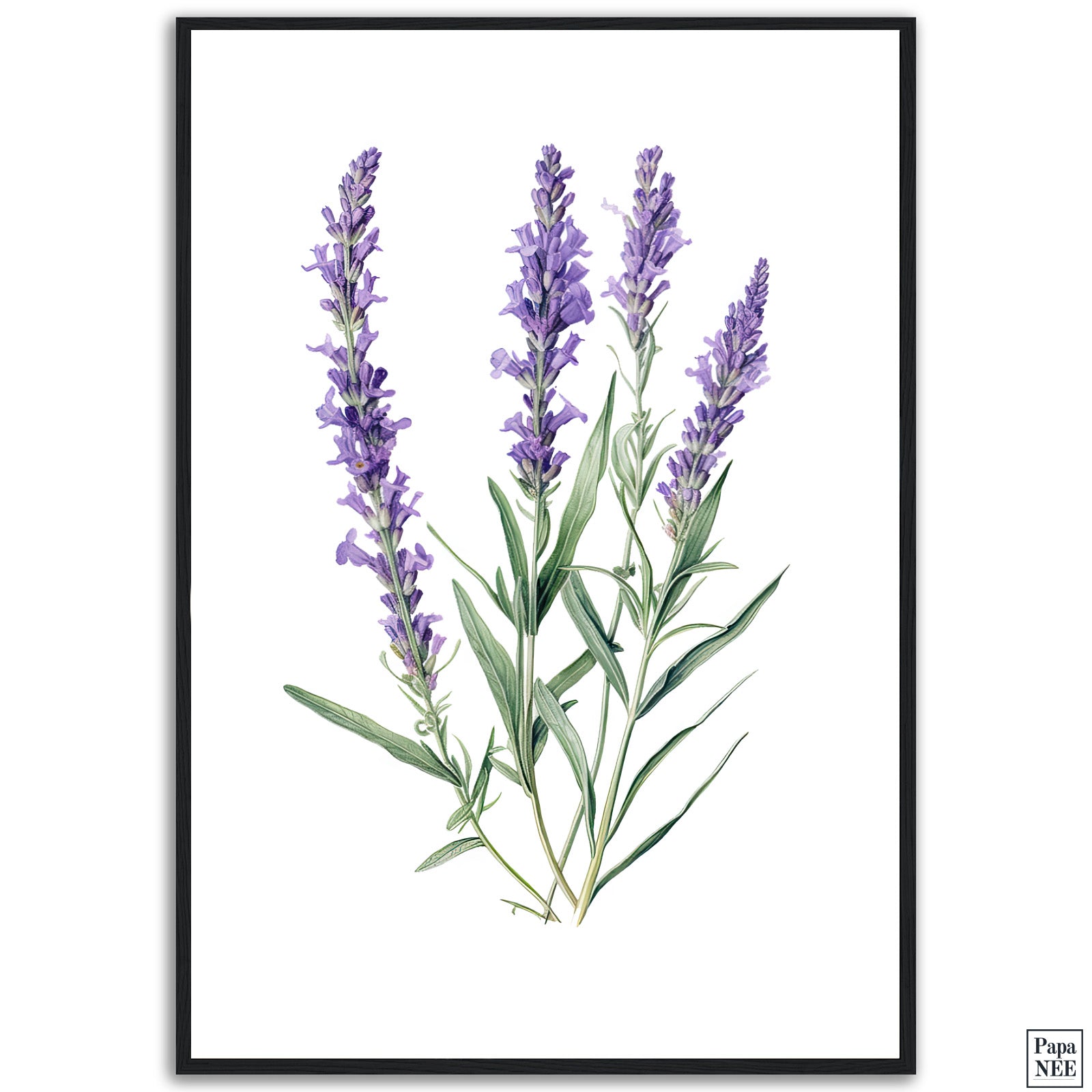 Online Lavender Love