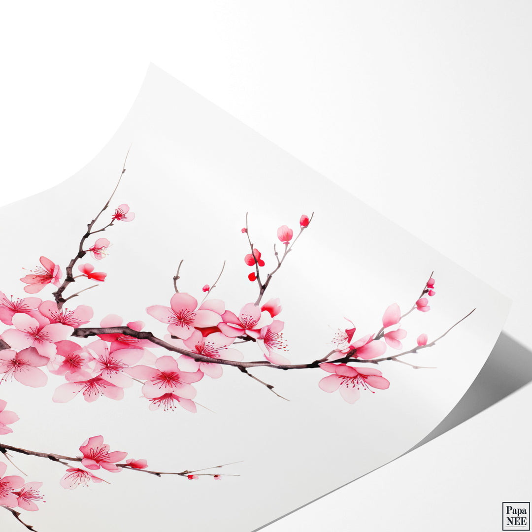 Cherry Blossom Serenity