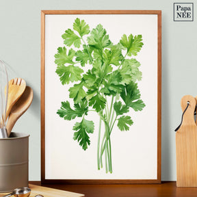 Cilantro Charm - Poster