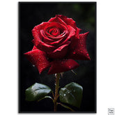 Crimson Beauty | Red Rose Poster - Papanee