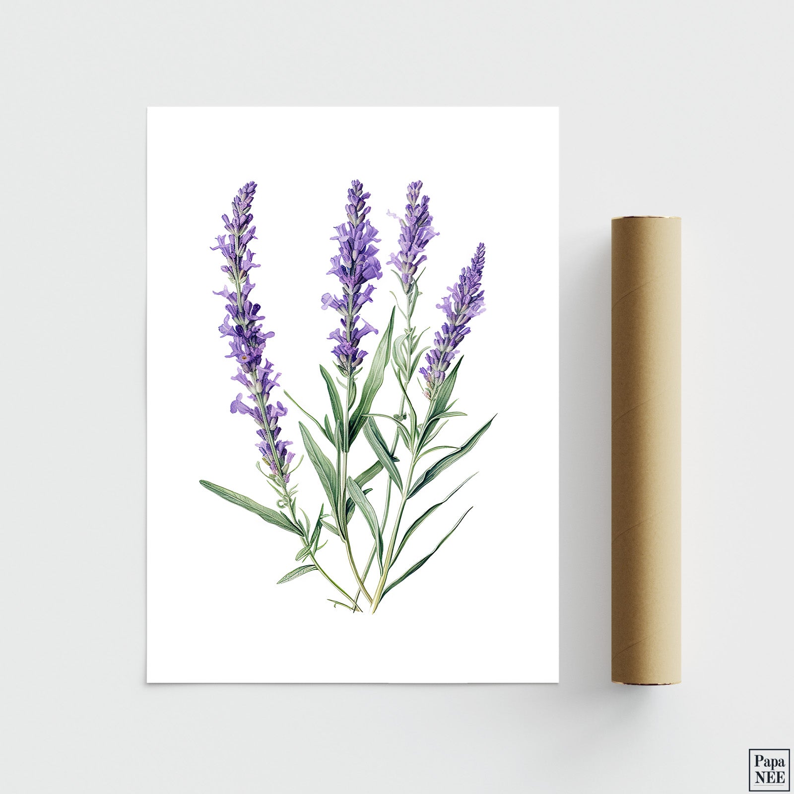 Lavender Love - Papanee