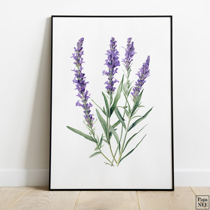 Lavender Love